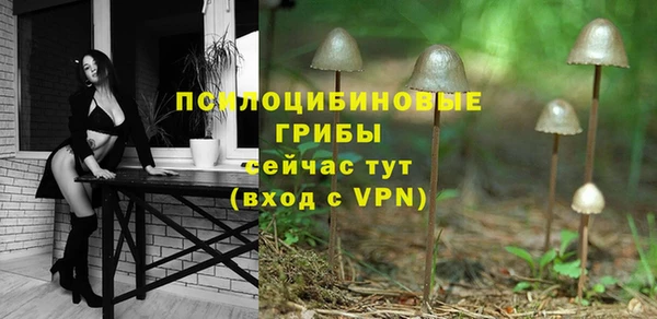 марки lsd Горняк