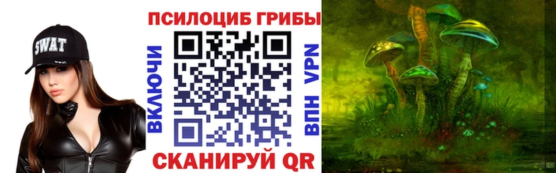 Псилоцибиновые грибы Psilocybine cubensis  Купить закладки  Лебедянь 